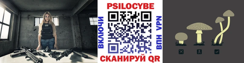 Псилоцибиновые грибы мицелий  дарнет шоп  Кашин 